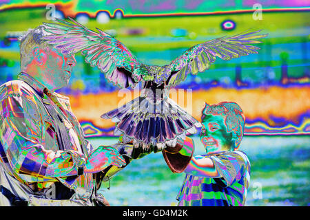 Une fauconnerie à Lowther oiseau de proie, près de Penrith, Cumbria, Royaume-Uni, avec une falconer attirant un Harris Hawk à la terre sur un membre du public. Banque D'Images