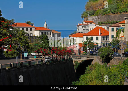 Ponta do Sol, île de Madère, Portugal Banque D'Images