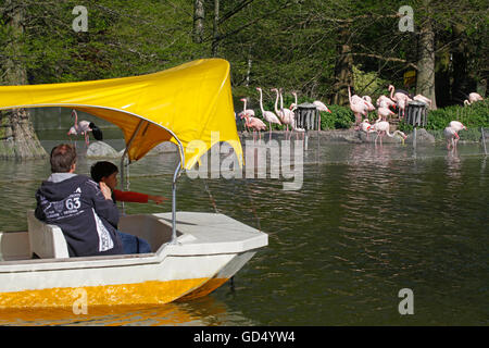 Gondoletta bateaux, Kutzer étang, tour de télévision, Luisenpark, Mannheim, Baden-Wurttemberg, Germany Banque D'Images