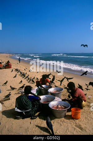 Pêcheur de Catch Banque D'Images