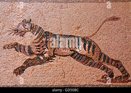 Mosaic sous Tiger, Maison de Dionysos, le portique sud, pièce 12, parc archéologique de Paphos, Paphos / République de Chypre Banque D'Images