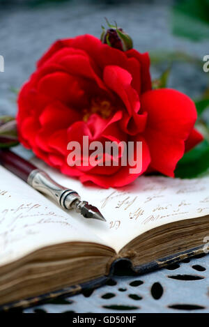 Federhalter auf Buch mit alter Schrift, rote Rose, Handschrift Banque D'Images