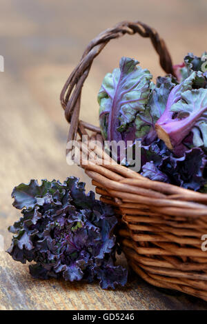 Les choux fleurs en Kohlroeschen Kohlröschen Koerbchen,,,, Blumensprossen Gruenkohl Rosenkohl und Kreuzung aus Banque D'Images