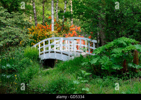 Seleger Moor, pont, Rifferswil, canton de Zurich, Suisse Banque D'Images