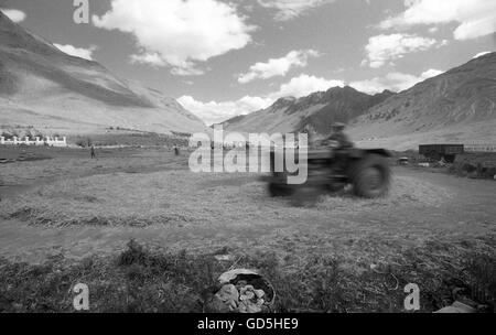 Battage du tracteur dans un champ Banque D'Images