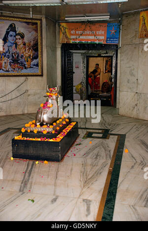 Statue de Nandi et Shivling Banque D'Images