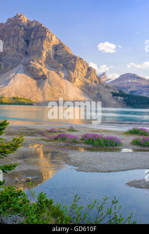 Le Lac Bow avant le coucher du soleil. Le parc national Banff, Alberta, Canadian Rockies Banque D'Images