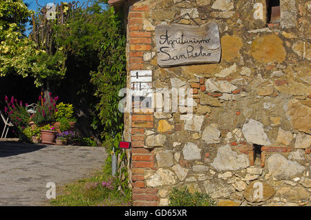 Castiglione d'Orcia, Agriturismo, Guest house, Val d'Orcia, Val d'Orcia, UNESCO World Heritage site, paysage de Toscane, Province de Sienne, Toscane, Italie, Europe Banque D'Images