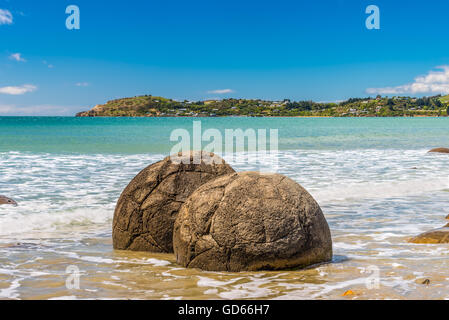 Exceptionnellement importantes et sphérique Moeraki Boulders situées le long de la plage sur la côte d'Otago, Nouvelle-Zélande. Banque D'Images