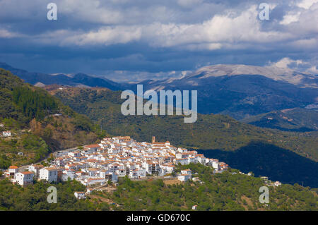 AlgatocIn, vallée de la rivière Genal Ronda, montagnes, villages blancs, Pueblos Blancos, Serrania de Ronda, province de Malaga, Andalousie, Espagne Banque D'Images