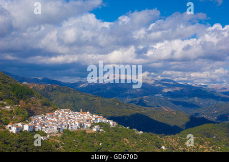 AlgatocIn, vallée de la rivière Genal Ronda, montagnes, villages blancs, Pueblos Blancos, Serrania de Ronda, province de Malaga, Andalousie, Espagne Banque D'Images