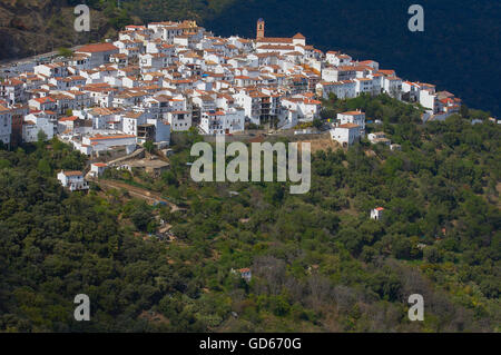 AlgatocIn, vallée de la rivière Genal Ronda, montagnes, villages blancs, Pueblos Blancos, Serrania de Ronda, province de Malaga, Andalousie, Espagne Banque D'Images