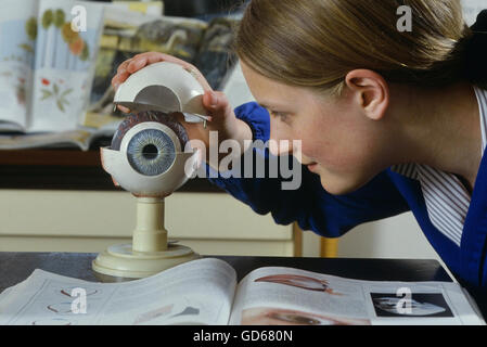 Les étudiants à la recherche d'une école à un modèle d'un œil humain. L'Angleterre. UK Banque D'Images