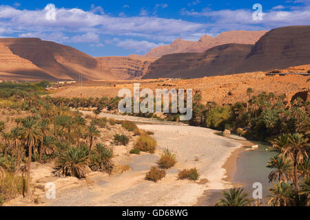 La rivière de Ziz, Oued Ziz, gorges du ZIZ, Vallée de Ziz, Gorges de Ziz, Oasis, région du Tafilalet, au Maroc, Afrique du Nord Banque D'Images