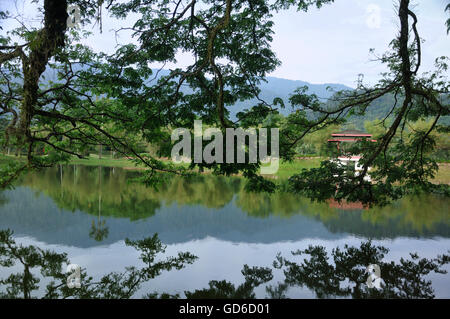 Jardins du Lac Taiping, Malaisie Banque D'Images