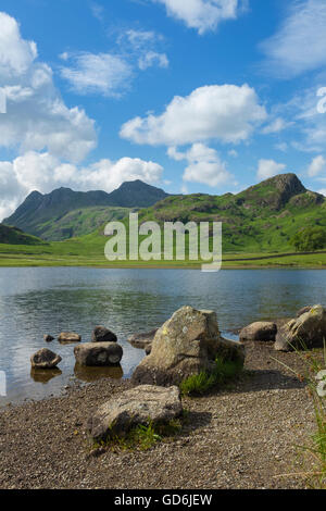 Blea Tarn dans le Lake District. Banque D'Images