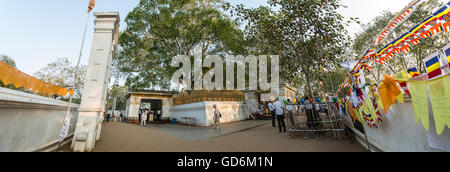 Jaya Sri Maha Bodhi est un figuier sacré dans le Mahamewna Gardens, Anuradhapura, dit d'être une succursale de BuddhaGaya tree, Inde Banque D'Images