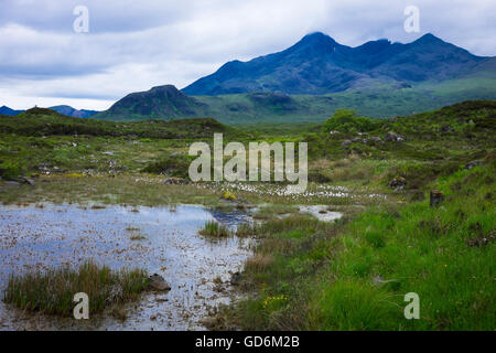 Superbe vue depuis le Vieux Pont, Sligachan - Isle of Skye Banque D'Images