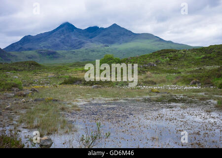 Vue depuis le Vieux Pont, Sligachan - Isle of Skye Banque D'Images