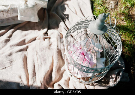 Cage à oiseaux décorée de pique-nique sur l'herbe près de tableau Banque D'Images