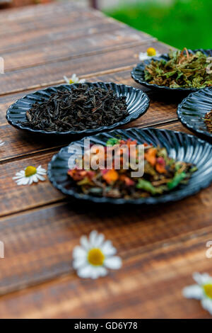 Différents types de thé sur les plaques noires sur une table en bois avec des fleurs de camomille dans le jardin et sur la nature de fond. Assortiment Banque D'Images