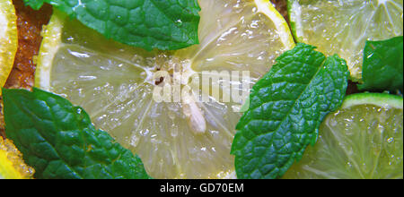 Avis sur les tranches de citrons et limes, les feuilles de menthe et le sucre de canne placé à plat sur le sol. Banque D'Images