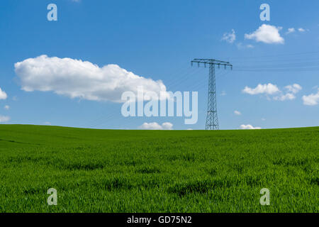 Paysage agricole avec les lignes électriques aériennes, des champs verts et ciel nuageux ciel bleu, Cunnersdorf, Saxe, Allemagne Banque D'Images