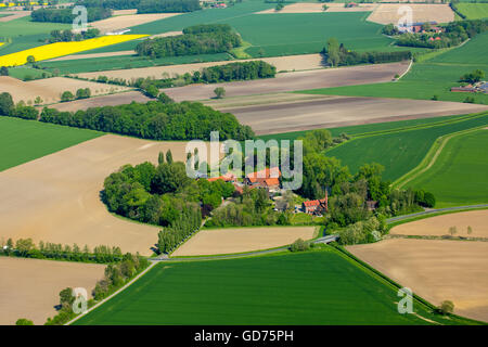 Vue aérienne, ferme, ferme, entre champs entre Dülmen et Senden, Münster, Rhénanie du Nord-Westphalie, Allemagne Banque D'Images