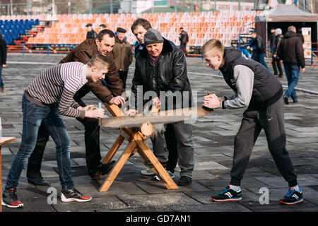 Gomel, Bélarus - 12 mars 2016 : les jeunes hommes scier un tronc d'arbre sur un plaisir de vacances traditionnelles lors de célébration de gras Maslenitsa Banque D'Images