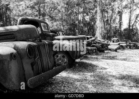 Crawfordville, Floride - USA. Mai 2016 - Vieux rouillé calssic camions et voitures abandonnées sur le bord de la route Banque D'Images