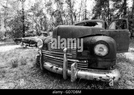 Crawfordville, Floride - USA. Mai 2016 - vieux camions rouillés abandonnés sur le bord de la route. Banque D'Images