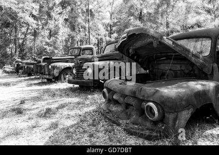 Crawfordville, Floride - USA. Mai 2016 - vieux camions rouillés abandonnés sur le côté de la route. Banque D'Images