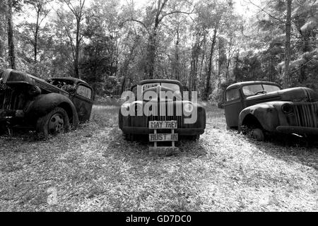 Crawfordville, Floride - USA. Mai 2016 - vieux camions rouillés abandonnés sur le bord de la route avec un panneau qui dit Rust en paix Banque D'Images