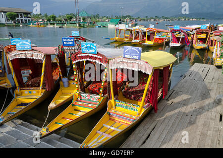 Shikara, bateau à rames sur le lac Dal, Srinagar, Inde, Banque D'Images