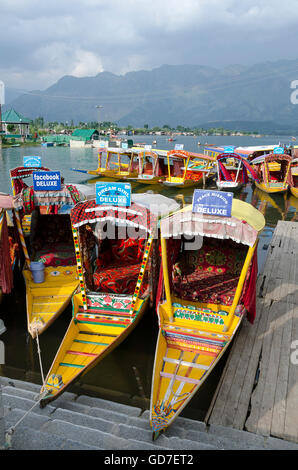 Shikara, bateau à rames sur le lac Dal, Srinagar, Inde, Banque D'Images