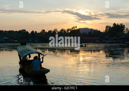 Shikara, bateau à rames sur le lac Dal, Srinagar, Inde, Banque D'Images