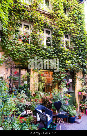 Vigne de lierre sur une maison Banque D'Images