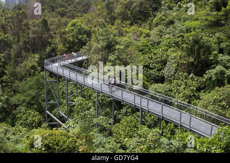 Singapour, Singapour - Février 01, 2015 : les personnes bénéficiant d'une promenade sur le canopy walkway dans le sud des crêtes. Banque D'Images