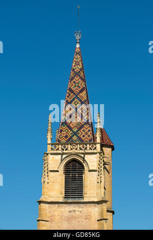 Europe, France, région de la Loire, La Benisson-Dieu, Abbaye de Saint Bernard Banque D'Images