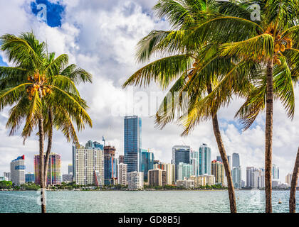Miami, Floride, USA scieries sur le centre-ville. Banque D'Images