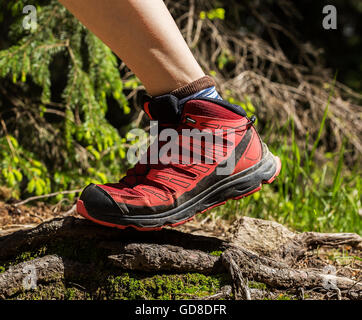 Marcher sur les racines d'arbre. Banque D'Images
