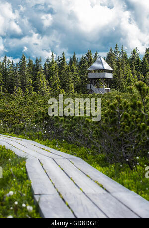 Planche de bois chemin quelque part au tour de lointain. Banque D'Images