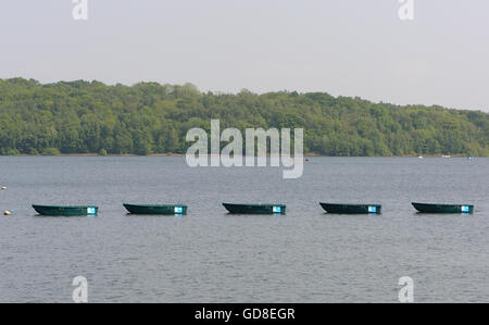 Une rangée de barques amarrées. Bewl Water, Lamberhurst, Kent.UK Banque D'Images