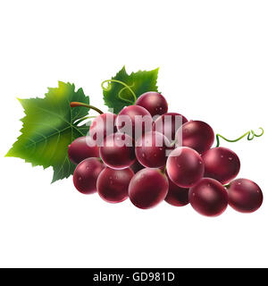 Les raisins rouges sur fond blanc Banque D'Images