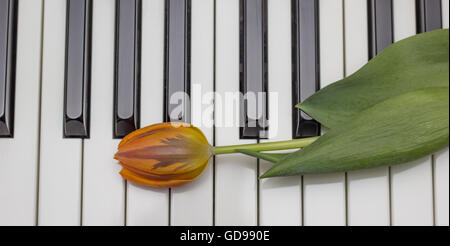 Tulipe orange sur les touches blanches et noires du piano Banque D'Images