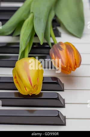 Tulipes orange et rouge sur un piano Banque D'Images