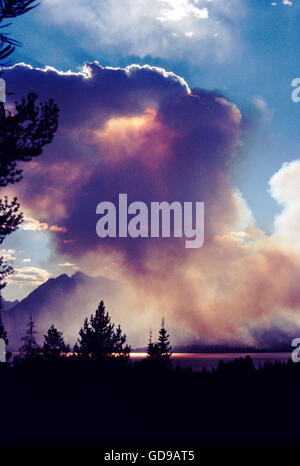 Feu de forêt crée des cieux de Jenny Lake, Grand Teton National Park, Wyoming, USA Banque D'Images