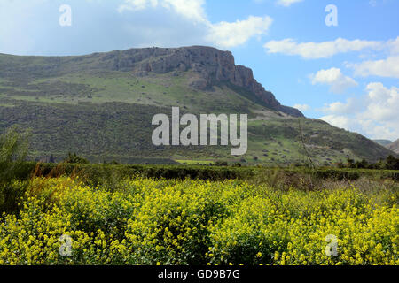 Mont Arbel au printemps, Israël Banque D'Images