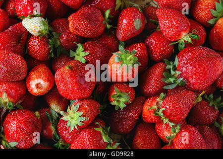 Jus de fraises frais mûrs comme arrière-plan de l'alimentation. Vue d'en haut Banque D'Images