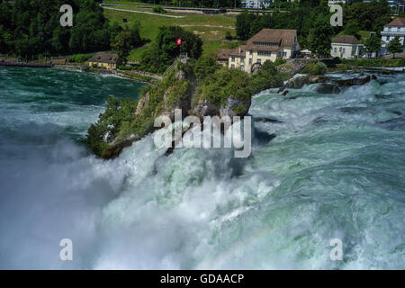 La Suisse. Rheinfall 016 Juillet chutes du Rhin Les chutes du Rhin est la plus grande cascade d'Europe. Banque D'Images